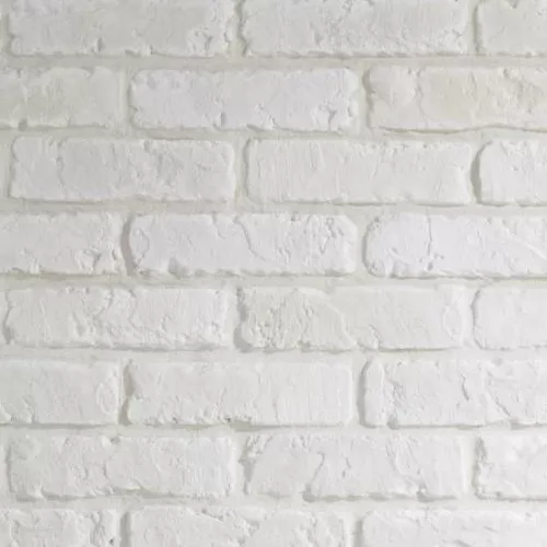 BRIQUE-+500x500.png